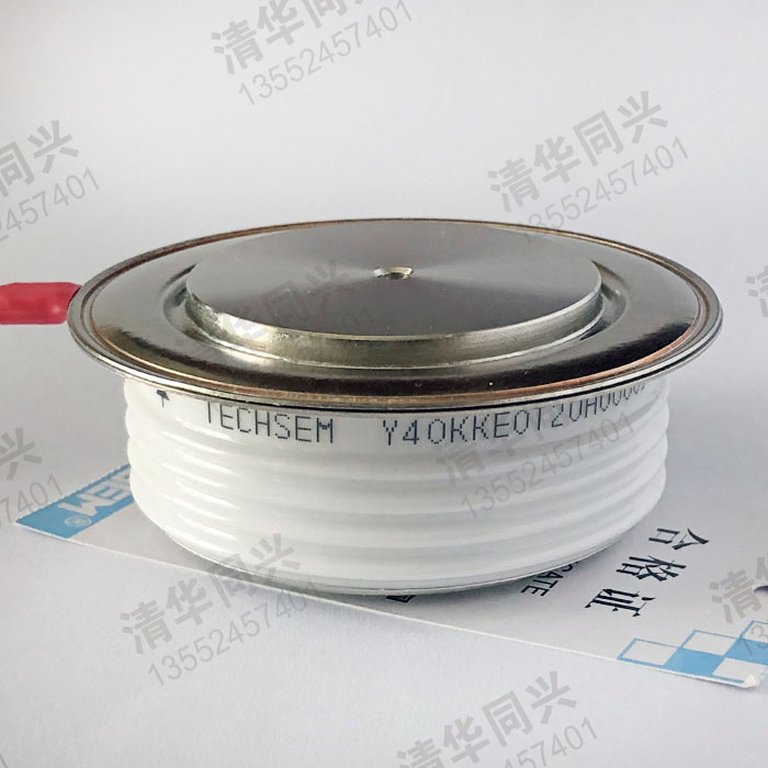 Y40KKE0T20H00086 TECHSEM湖北臺(tái)基 銷售電話：13552457401
