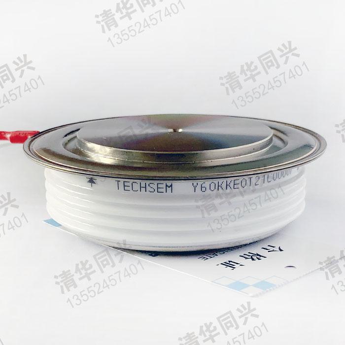 Y60KKE0T21L00088 TECHSEM湖北臺(tái)基 銷售電話：13552457401
