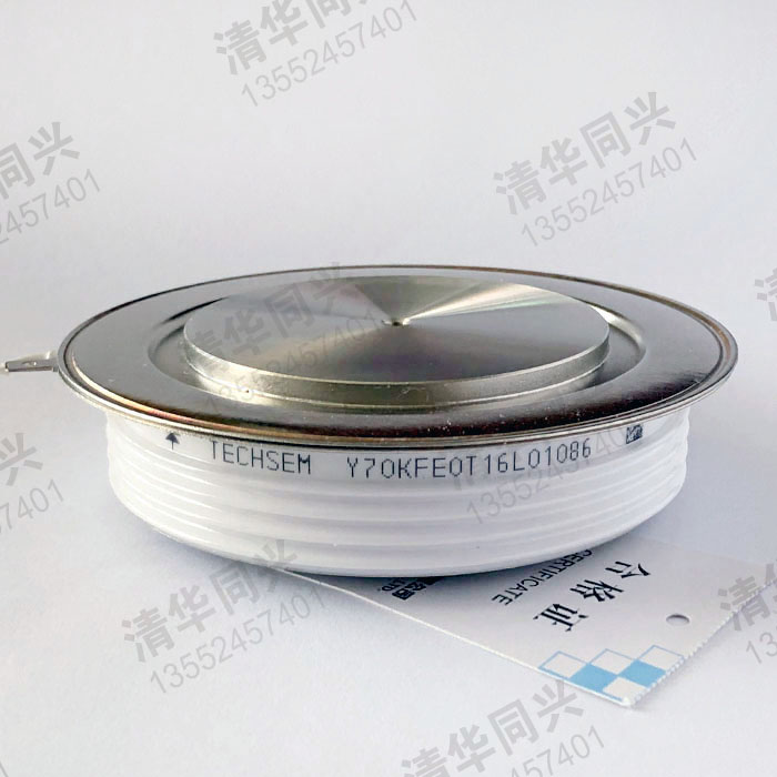 Y70KFE0T16L01086 TECHSEM湖北臺(tái)基 銷(xiāo)售電話(huà)：13552457401